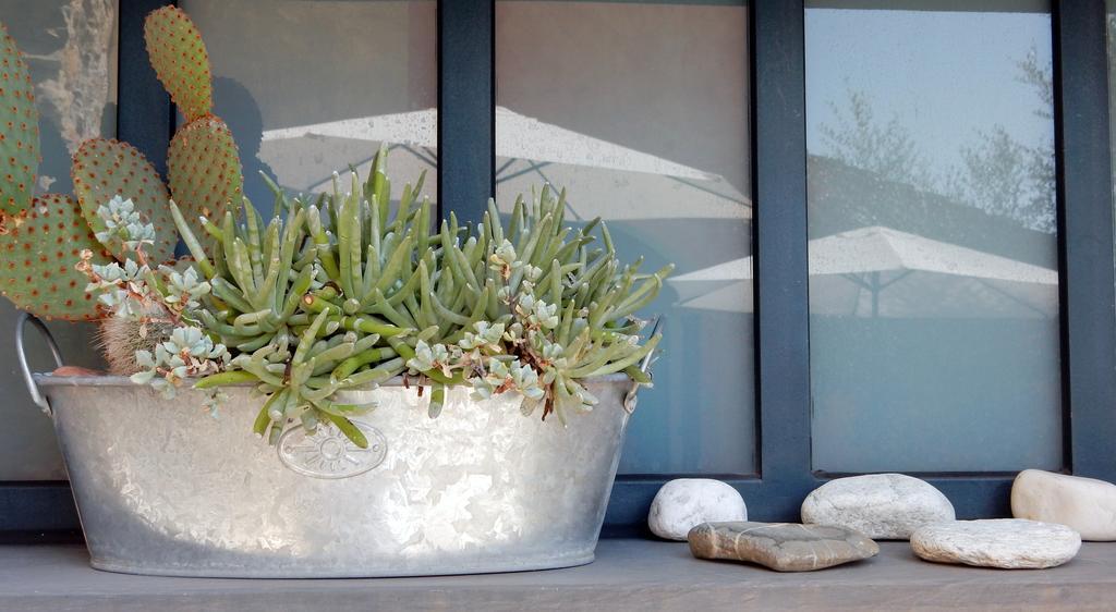 I Freschi Apartment San Bartolomeo Al Mare Bagian luar foto